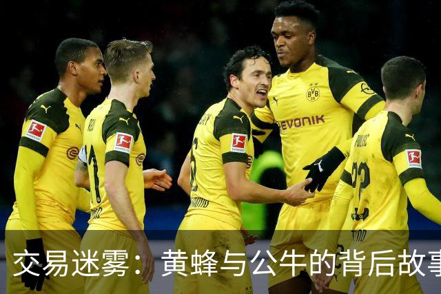 交易迷雾：黄蜂与公牛的背后故事