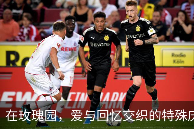 在玫瑰园，爱与回忆交织的特殊庆祝
